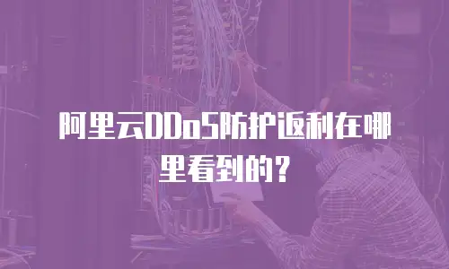 阿里云DDoS防护返利在哪里看到的？