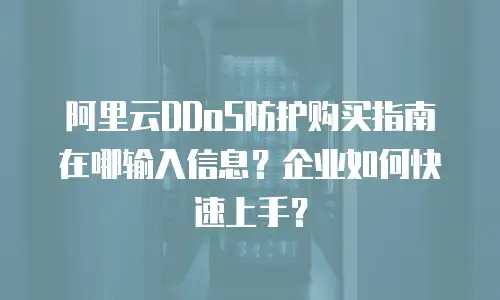 阿里云DDoS防护购买指南在哪输入信息？企业如何快速上手？