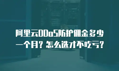 阿里云DDoS防护佣金多少一个月？怎么选才不吃亏？