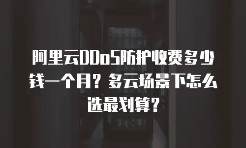 阿里云DDoS防护收费多少钱一个月？多云场景下怎么选最划算？