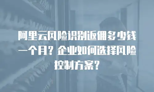 阿里云风险识别返佣多少钱一个月？企业如何选择风险控制方案？