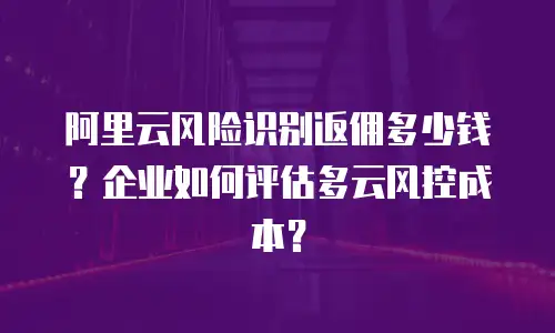 阿里云风险识别返佣多少钱？企业如何评估多云风控成本？