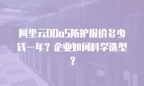 阿里云DDoS防护报价多少钱一年？企业如何科学选型？