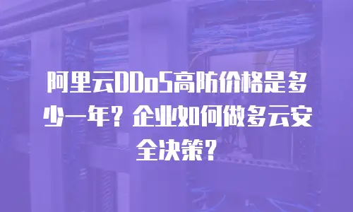 阿里云DDoS高防价格是多少一年？企业如何做多云安全决策？