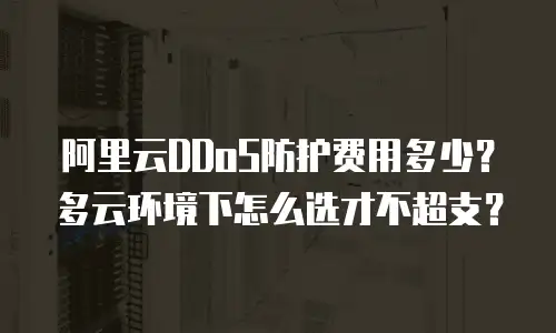 阿里云DDoS防护费用多少？多云环境下怎么选才不超支？