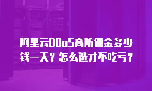阿里云DDoS高防佣金多少钱一天？怎么选才不吃亏？