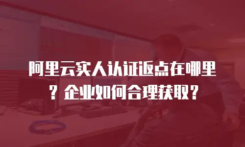 阿里云实人认证返点在哪里？企业如何合理获取？