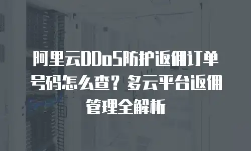 阿里云DDoS防护返佣订单号码怎么查？多云平台返佣管理全解析