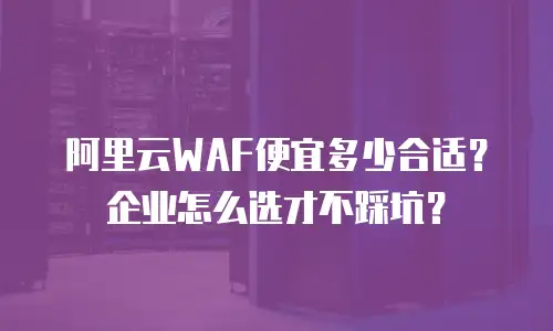 阿里云WAF便宜多少合适？企业怎么选才不踩坑？