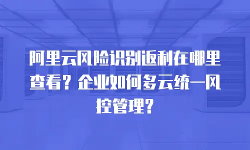 阿里云风险识别返利在哪里查看？企业如何多云统一风控管理？