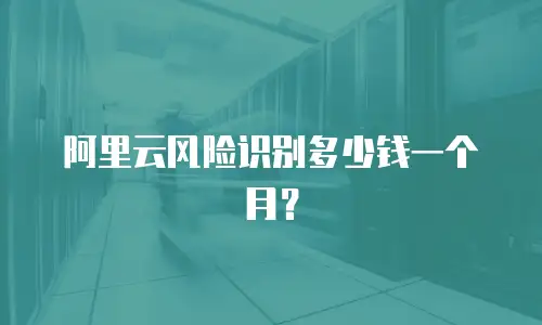 阿里云风险识别多少钱一个月？
