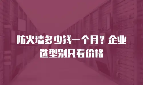 防火墙多少钱一个月？企业选型别只看价格