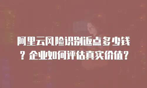 阿里云风险识别返点多少钱？企业如何评估真实价值？