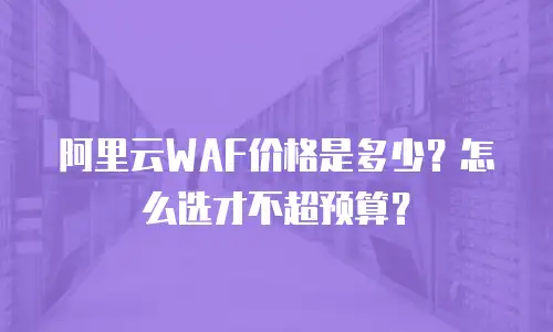 阿里云WAF价格是多少？怎么选才不超预算？