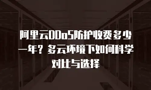 阿里云DDoS防护收费多少一年？多云环境下如何科学对比与选择