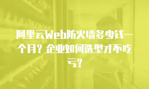 阿里云Web防火墙多少钱一个月？企业如何选型才不吃亏？