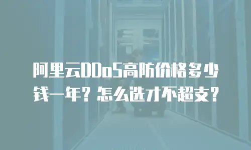 阿里云DDoS高防价格多少钱一年？怎么选才不超支？