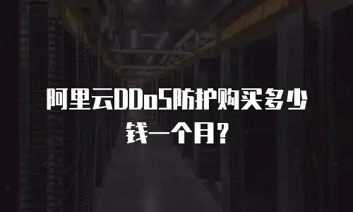 阿里云DDoS防护购买多少钱一个月？