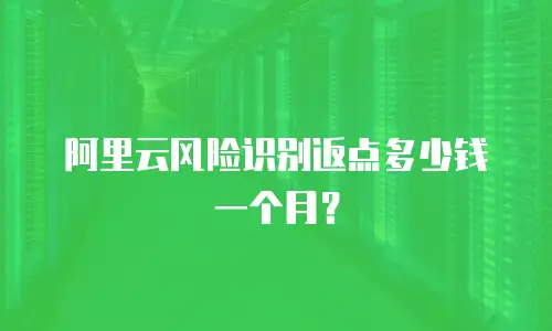 阿里云风险识别返点多少钱一个月？