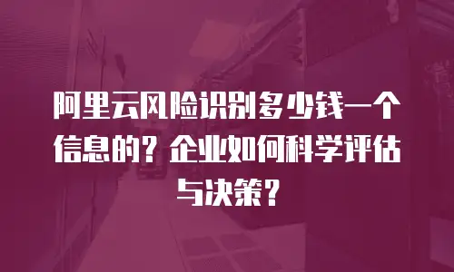 阿里云风险识别多少钱一个信息的？企业如何科学评估与决策？