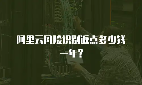 阿里云风险识别返点多少钱一年？