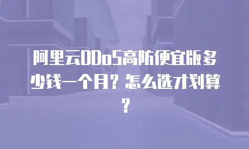 阿里云DDoS高防便宜版多少钱一个月？怎么选才划算？