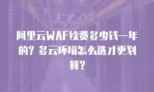 阿里云WAF续费多少钱一年的？多云环境怎么选才更划算？