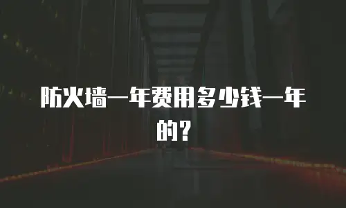 防火墙一年费用多少钱一年的？