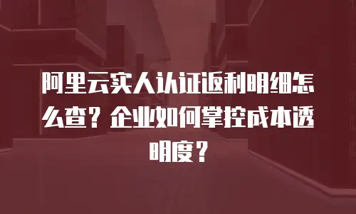 阿里云实人认证返利明细怎么查？企业如何掌控成本透明度？