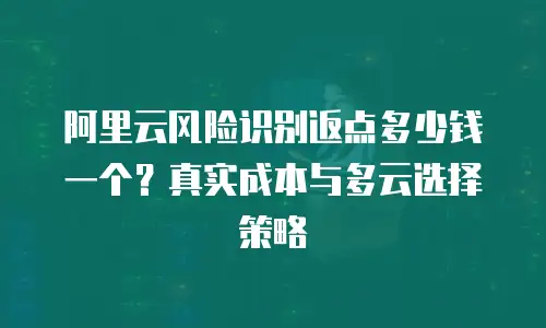 阿里云风险识别返点多少钱一个？真实成本与多云选择策略
