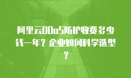 阿里云DDoS防护收费多少钱一年？企业如何科学选型？