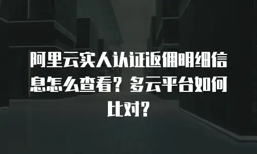 阿里云实人认证返佣明细信息怎么查看？多云平台如何比对？