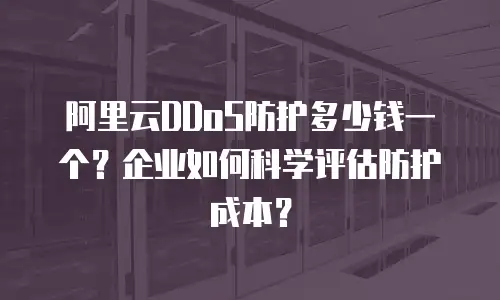 阿里云DDoS防护多少钱一个？企业如何科学评估防护成本？