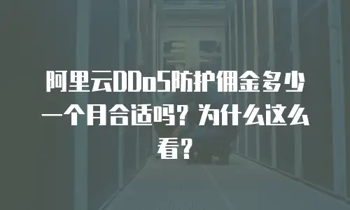 阿里云DDoS防护佣金多少一个月合适吗？为什么这么看？