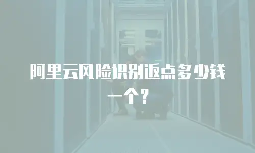 阿里云风险识别返点多少钱一个？