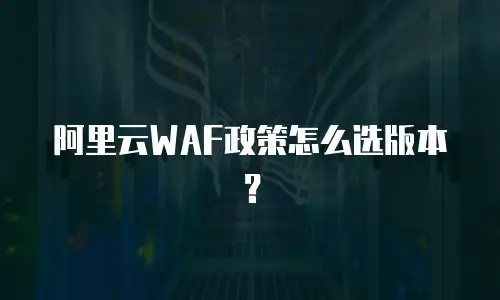 阿里云WAF政策怎么选版本？