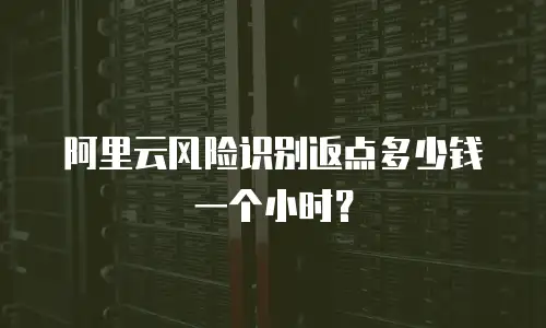 阿里云风险识别返点多少钱一个小时？
