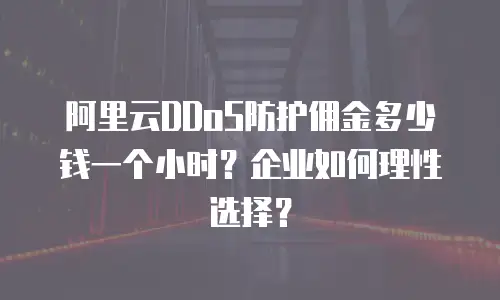 阿里云DDoS防护佣金多少钱一个小时？企业如何理性选择？