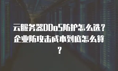 云服务器DDoS防护怎么选？企业防攻击成本到底怎么算？