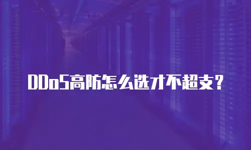 DDoS高防怎么选才不超支？