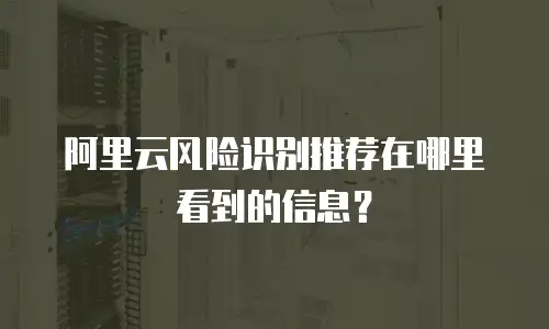 阿里云风险识别推荐在哪里看到的信息？