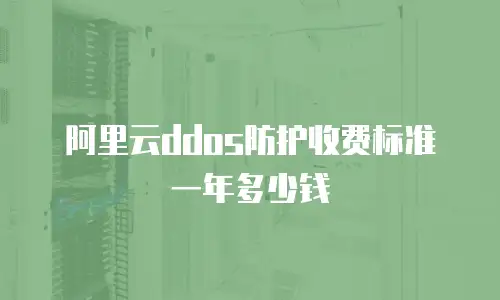阿里云ddos防护收费标准一年多少钱