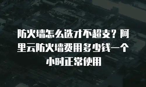 防火墙怎么选才不超支？阿里云防火墙费用多少钱一个小时正常使用