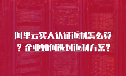 阿里云实人认证返利怎么算？企业如何选对返利方案？