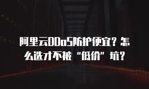 阿里云DDoS防护便宜？怎么选才不被&ldquo;低价&rdquo;坑？