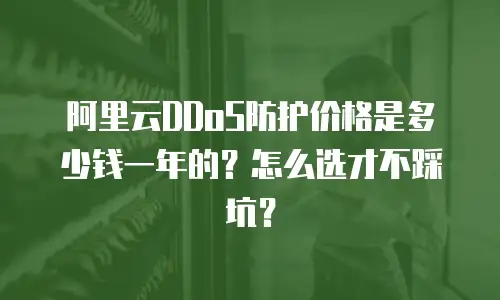 阿里云DDoS防护价格是多少钱一年的？怎么选才不踩坑？