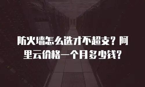 防火墙怎么选才不超支？阿里云价格一个月多少钱？