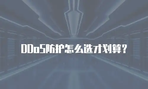 DDoS防护怎么选才划算？