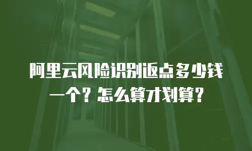 阿里云风险识别返点多少钱一个？怎么算才划算？
