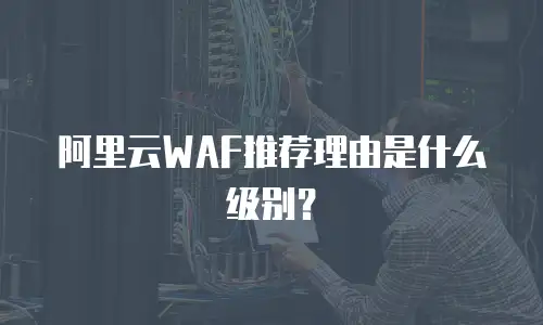 阿里云WAF推荐理由是什么级别？